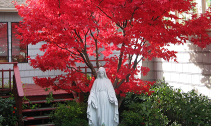 The Blessed Mother - Our Lady of Good Help Prayer Garden